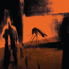 Load image into Gallery viewer, Mosquito / Faster Than The Radio ROW
